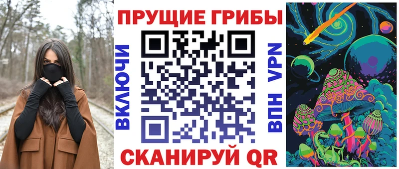 как найти   Южно-Сухокумск  Галлюциногенные грибы MAGIC MUSHROOMS 